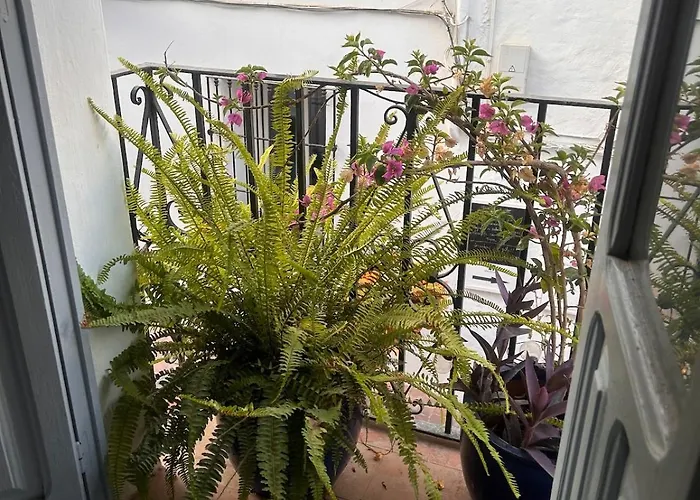 Apartman Fabulous 2 Bed-townhouse With Large Rooftop!