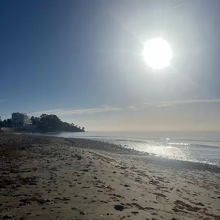 Fabulous 2 Bed-townhouse With Large Rooftop! Appartement