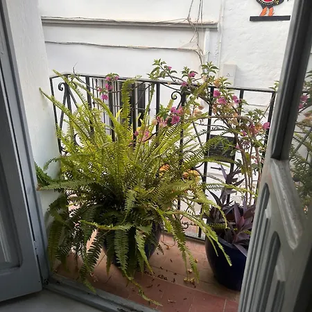 公寓 Fabulous 2 Bed-townhouse With Large Rooftop!